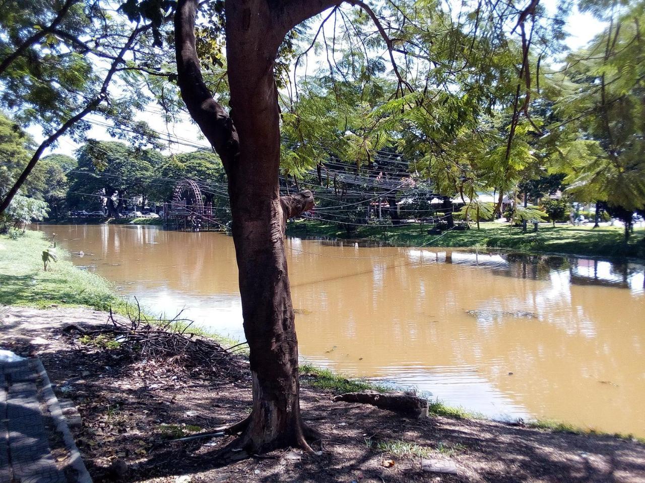 Mango Villa Siem Reap Dış mekan fotoğraf